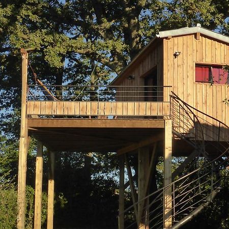 La Cabane Perchee Du Faucon Frechou-Frechet Zewnętrze zdjęcie
