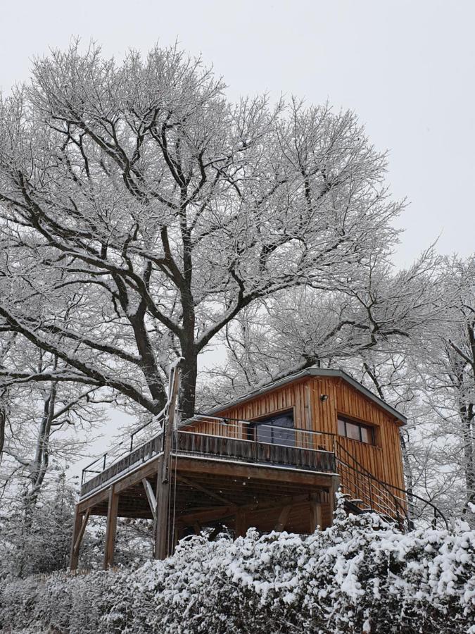 La Cabane Perchee Du Faucon Frechou-Frechet Zewnętrze zdjęcie